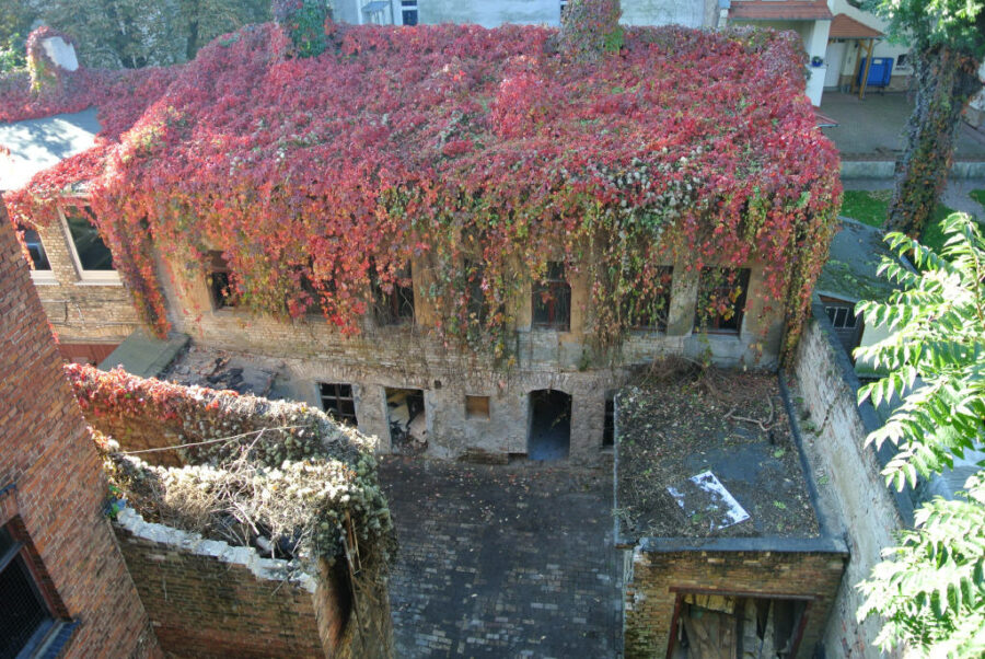Halle-Giebichenstein: Baudenkmal zum Sanieren mit Hofzufahrt, 5 PKW-Stellplätze, 06114 Halle (Saale)-Giebichenstein, Mehrfamilienhaus