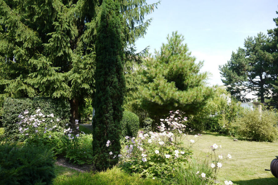 Halle-Ammendorf: Idyllisches Gartengrundstück mit 3 Gargen, ruhige Lage, 06132 Halle (Saale)-Ammendorf, Freizeit