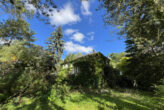 Halle-Südliche Innenstadt: Einfamilienhaus-Villa mit großem Naturgrundstück, direkter Saalezugang - Bild2