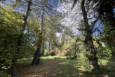 Halle-Südliche Innenstadt: Einfamilienhaus-Villa mit großem Naturgrundstück, direkter Saalezugang - Bild8