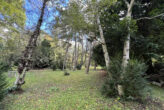 Halle-Südliche Innenstadt: Einfamilienhaus-Villa mit großem Naturgrundstück, direkter Saalezugang - Bild11