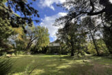 Halle-Südliche Innenstadt: Einfamilienhaus-Villa mit großem Naturgrundstück, direkter Saalezugang - Bild7