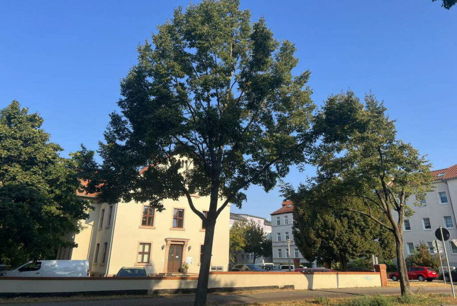 Halle (Saale): Baudenkmal-Villa mit eigenem Parkplatz, zentrale Lage, 06110 Halle (Saale)-Südliche Innenstadt, Mehrfamilienhaus