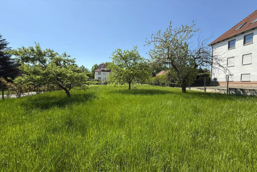 Bild1