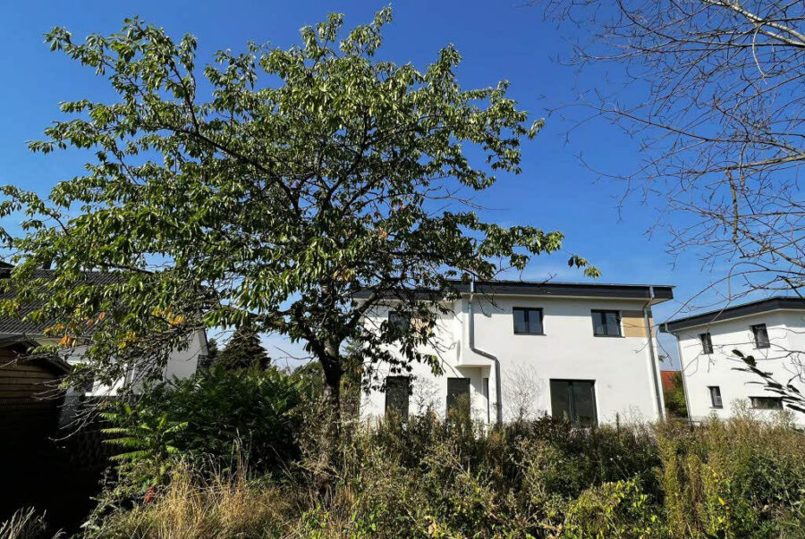 Petersberg OT Gutenberg: moderne Stadtvilla mit 6 Zimmern, bezugsfertig neu gebaut, 06193 Petersberg-Gutenberg, Einfamilienhaus