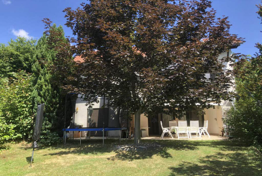 Bild6