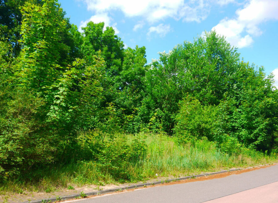 Petersberg OT Wallwitz: Baugrundstück mit 468 qm Fläche, mit Bebauungsvorschlag, 06193 Petersberg-Wallwitz, Wohngrundstück