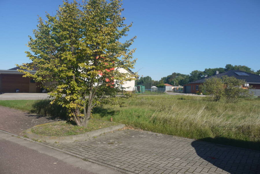 Bild4