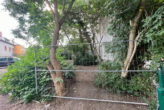 Halle-Giebichenstein: Gartengrundstück für Privat oder Gewerbe zur Miete - Bild3