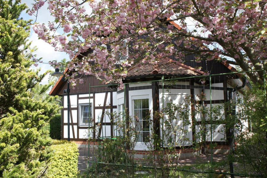 Halle-Diemitz: Schönes Fachwerkhaus auf 1920 qm Naturgrundstück mit großer Doppelgarage, 06116 Halle (Saale)-Diemitz, Einfamilienhaus