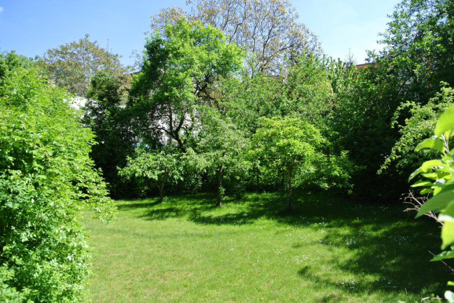Halle-Lutherplatz: Großes Baugrundstück für EFH/MFH, Lage in 2. Baureihe, 06110 Halle (Saale)-Lutherplatz, Wohngrundstück