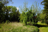 Dessau-Roßlau: Einfamilienhaus mit Einlieferwohnung, mit Swimmingpool, 2 Garagen, sehr ruhige Wohnlage - Bild10