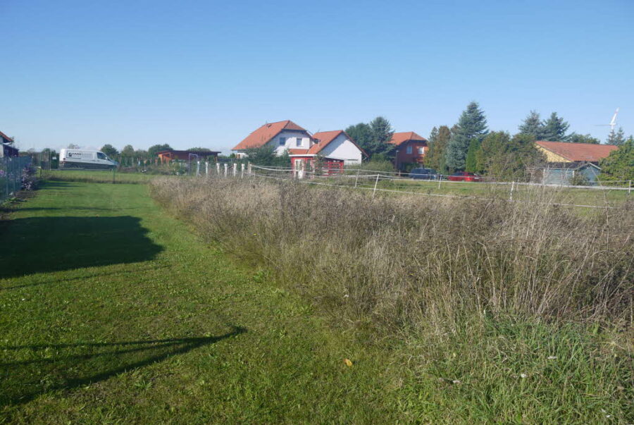 Bild3