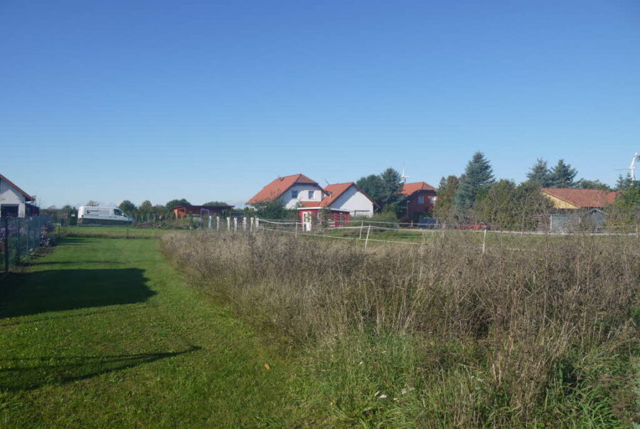Bild5