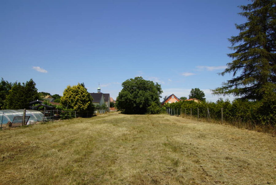 Bild8