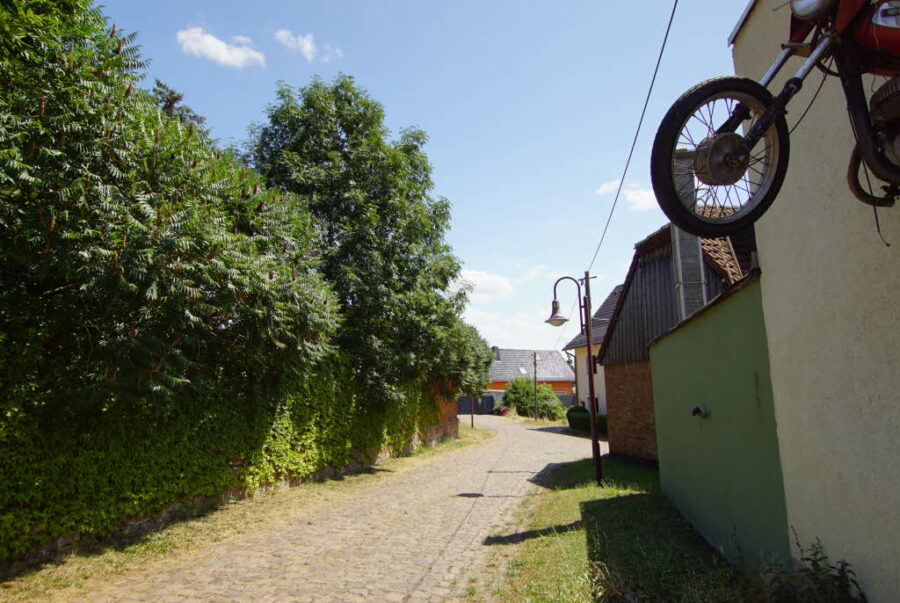 Bild7