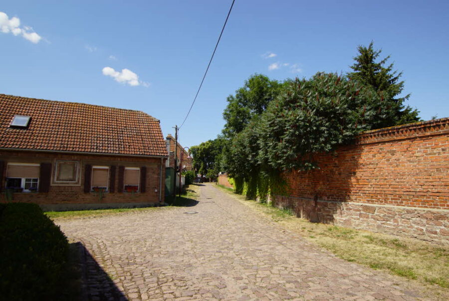 Bild8