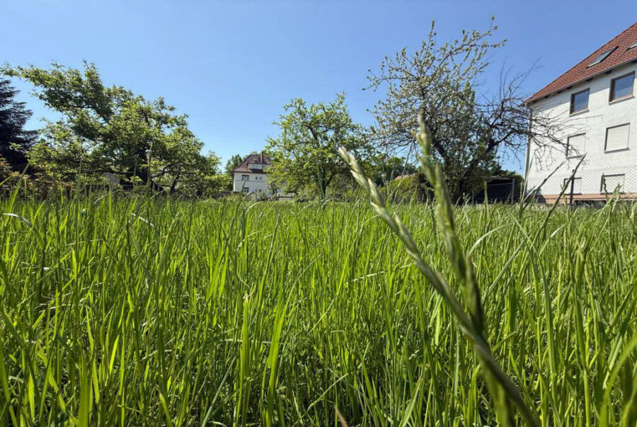 Bild1