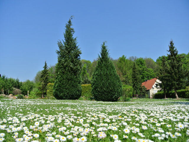 Petersberg OT Gutenberg: Baugrundstück für Bungalow-Bebauung, ruhige Wohnlage, 06193 Petersberg-Gutenberg, Wohngrundstück