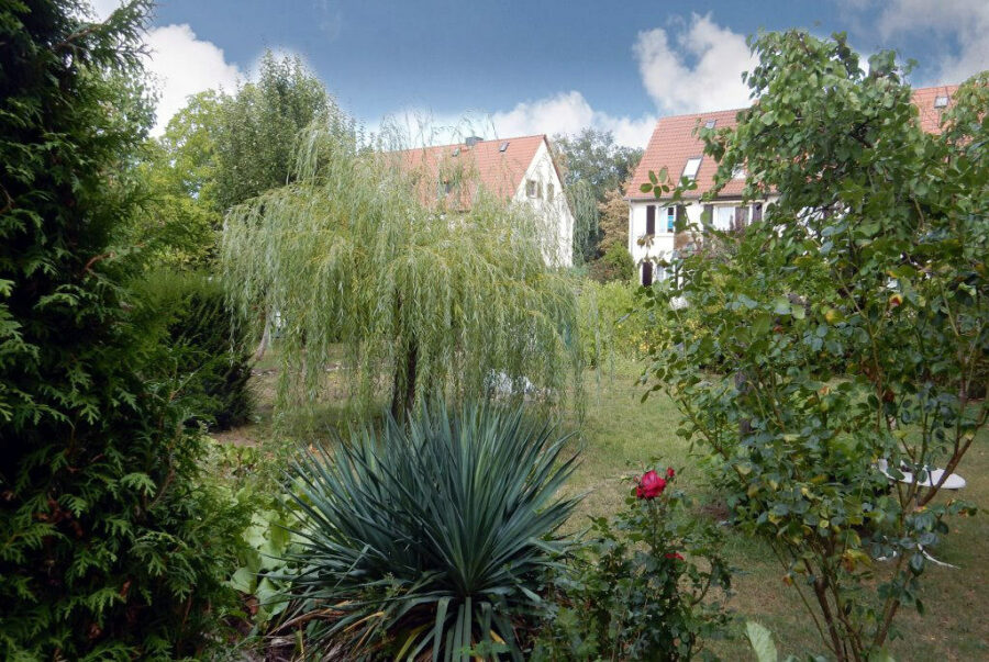 Schkopau – Doktorsiedlung: Garten-Wohnung mit Terrasse, ruhig im Grünen, 06258 Schkopau-Doktorsiedlung, Wohnung