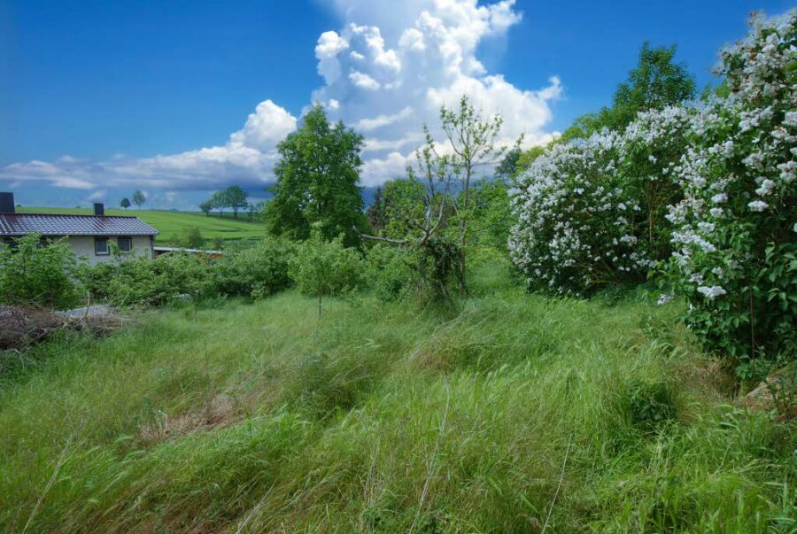 Salzatal OT Fienstedt: Baugrundstück mit Weitblick, 06198 Salzatal-Fienstedt, Wohngrundstück