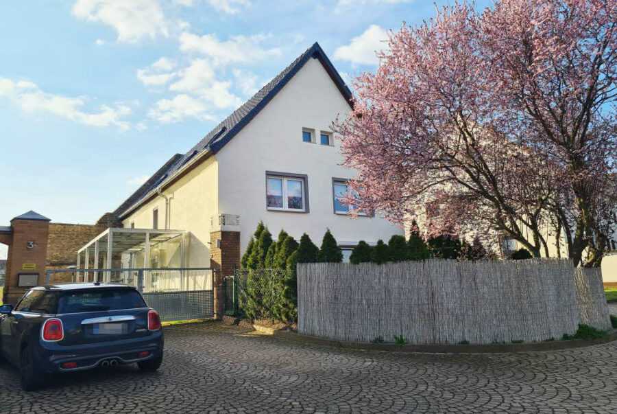 Bild1